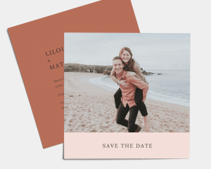 Natural Palette - Save the Date carte mariage